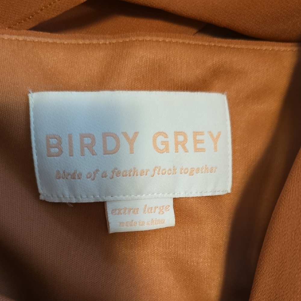 Birdy Grey One-Shoulder Terracotta Dress - Picture 5 of 7